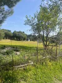living - Parcela de 4,080m² en venta en Majadahonda, Madrid - gallery thumbnail - 3