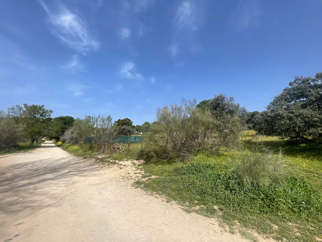 living - 4,080m² plot for sale in Majadahonda, Madrid - gallery - 9
