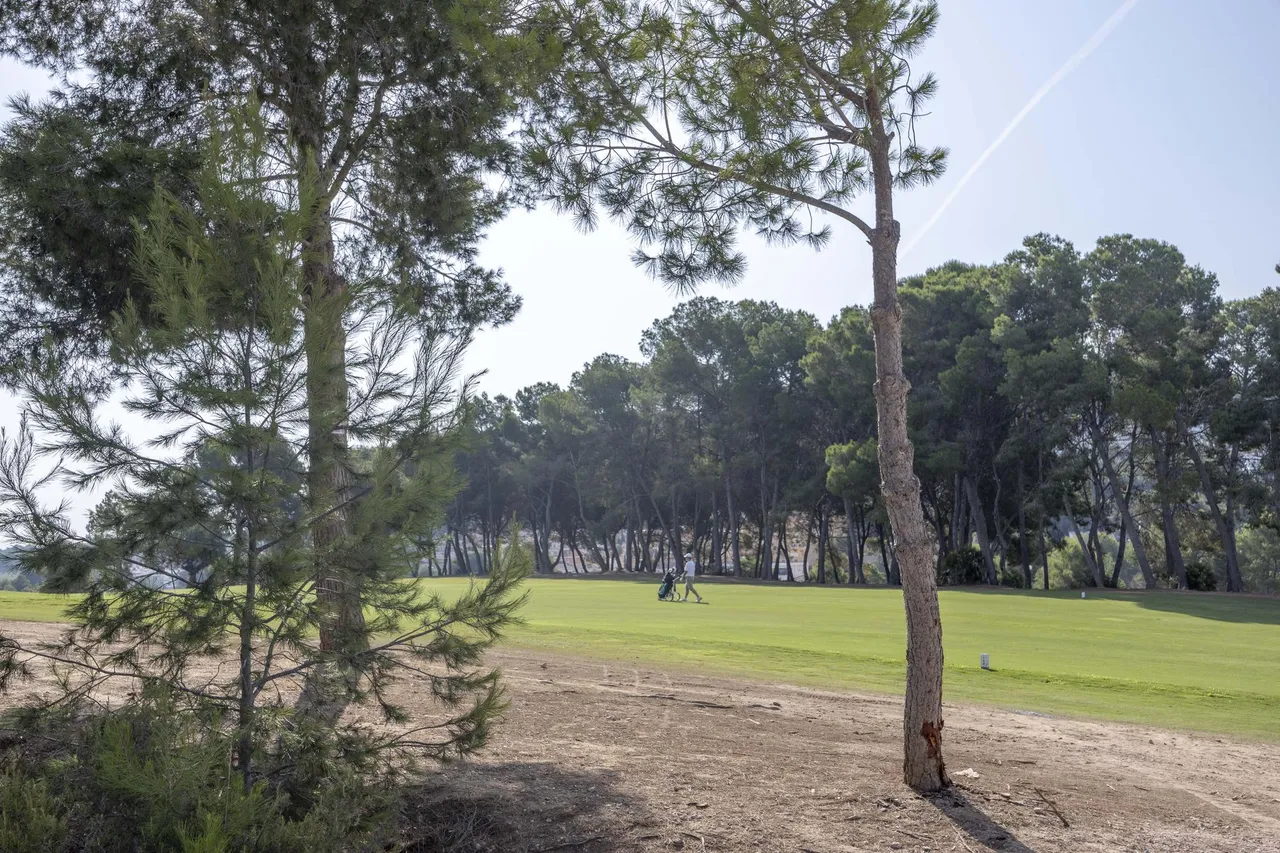 living - Parcela de 2,429m² en venta en El Bosque / Chiva, Valencia - gallery - 5