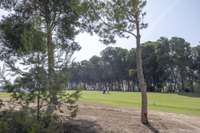 living - Parcela de 2,429m² en venta en El Bosque / Chiva, Valencia - gallery thumbnail - 5