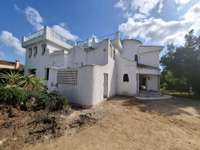 living - 639m² house / villa with 156m² terrace for sale in Golden Mile - Floor Plan thumbnail - 1