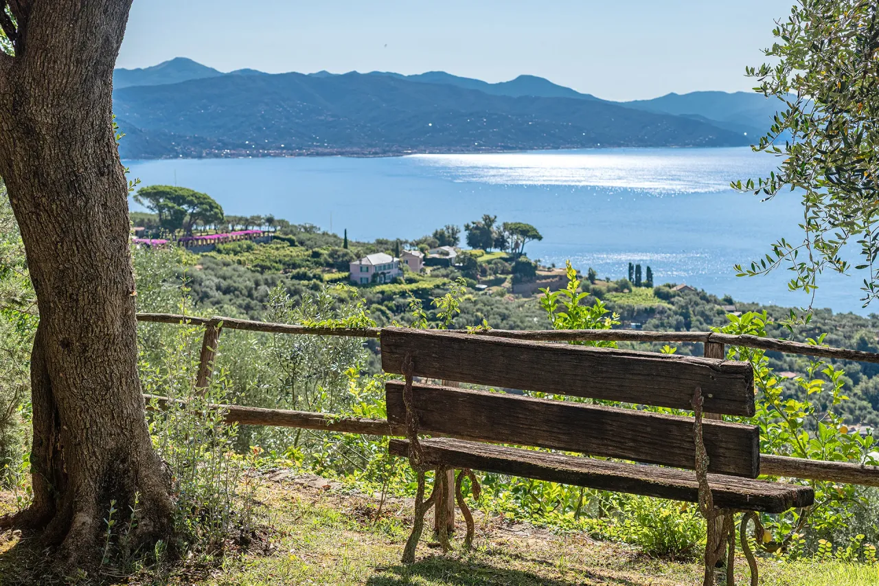 living - Portofino - Living - Dils - gallery - 3