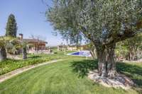 living - Masia de 699m² con 2,000m² de jardín en venta en Valencia Region - gallery thumbnail - 2