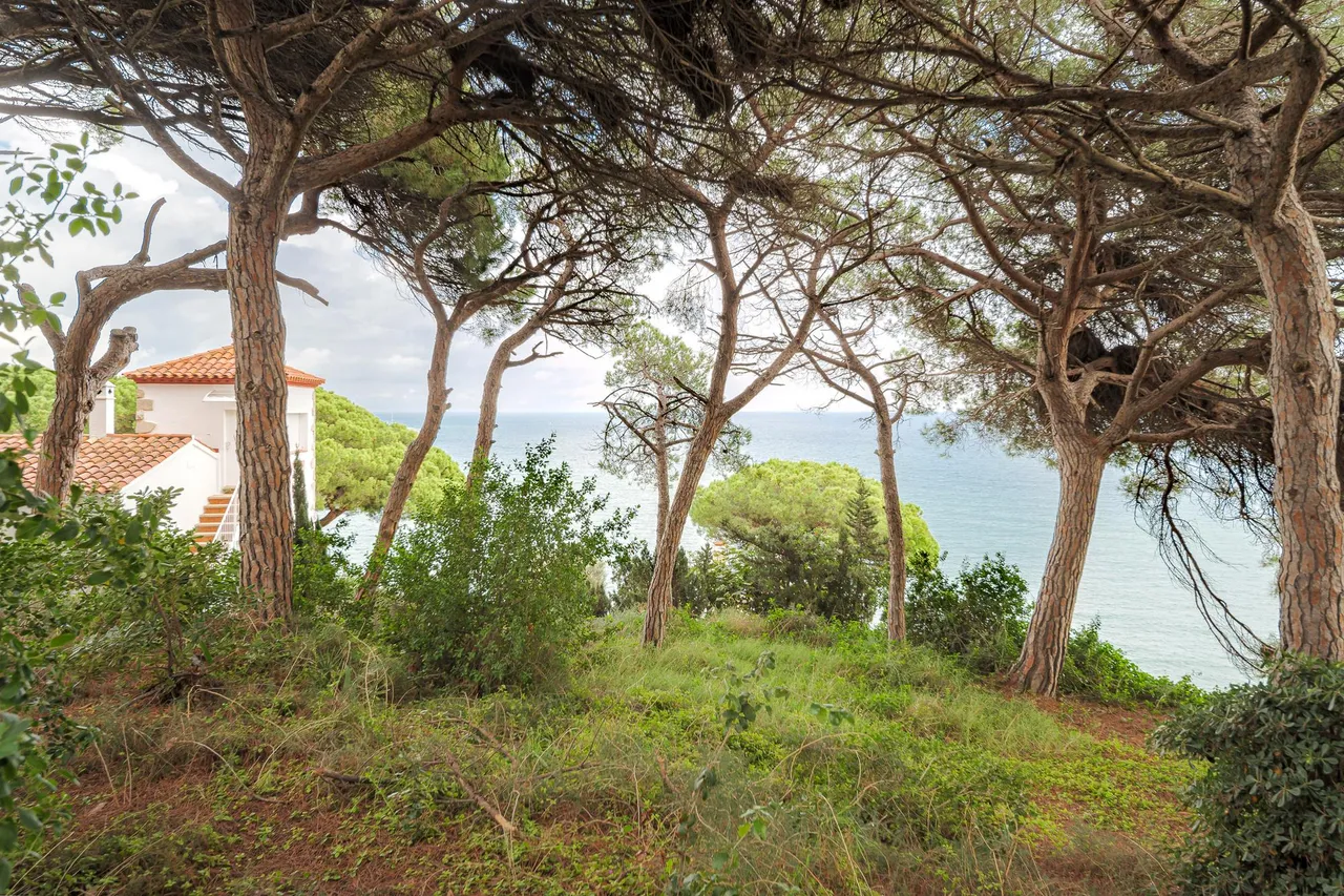 living - 1,674m² plot for sale in Arenys de Mar, Barcelona - gallery - 3