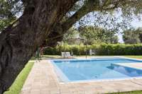 living - Propiedad ecuestre de 244m² en venta en Bétera, Valencia - gallery thumbnail - 5