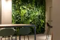 office - Pordenone 8 - Office - Dils - gallery thumbnail - 49