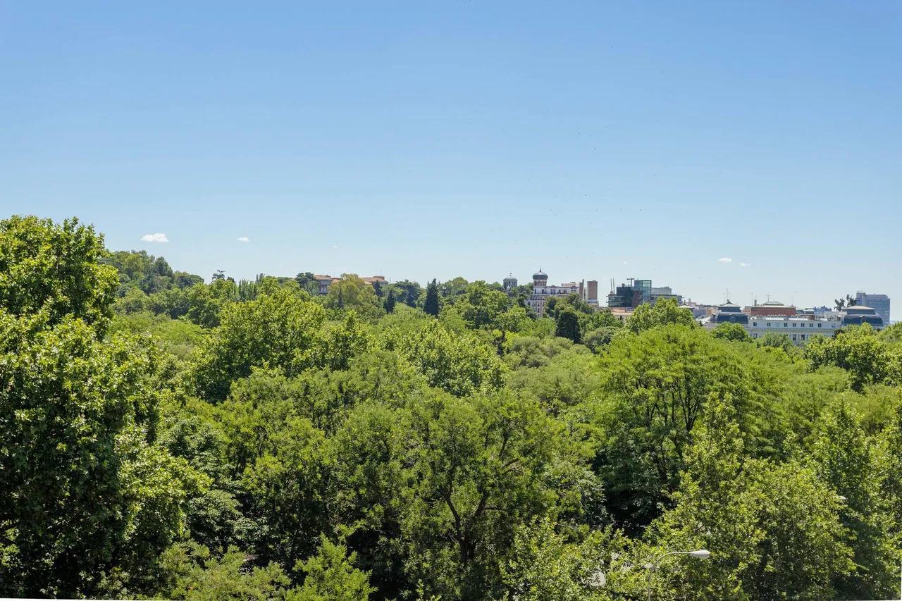 living - Piso de 225m² en alquiler en Cortes / Huertas, Madrid - gallery - 4