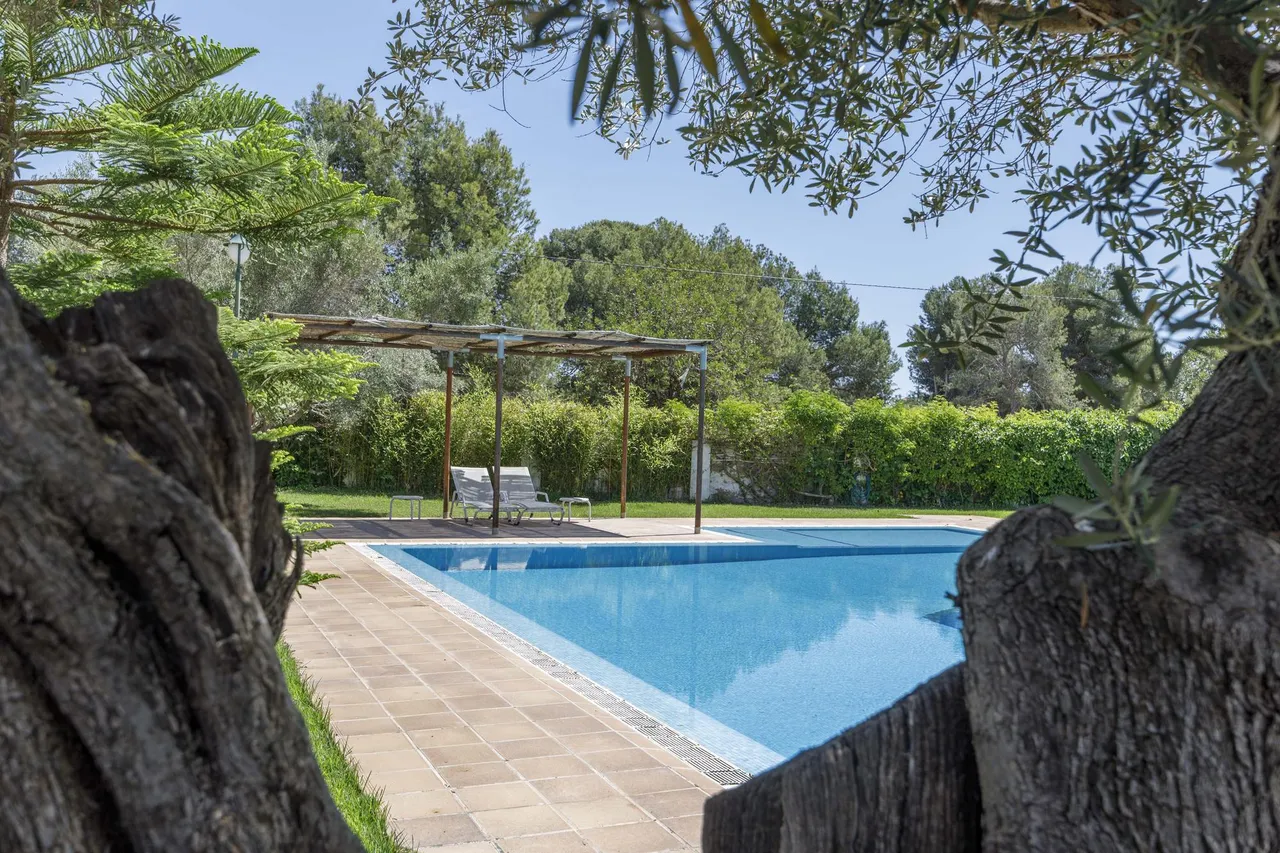 living - 244m² equestrian property for sale in Bétera, Valencia - gallery - 4
