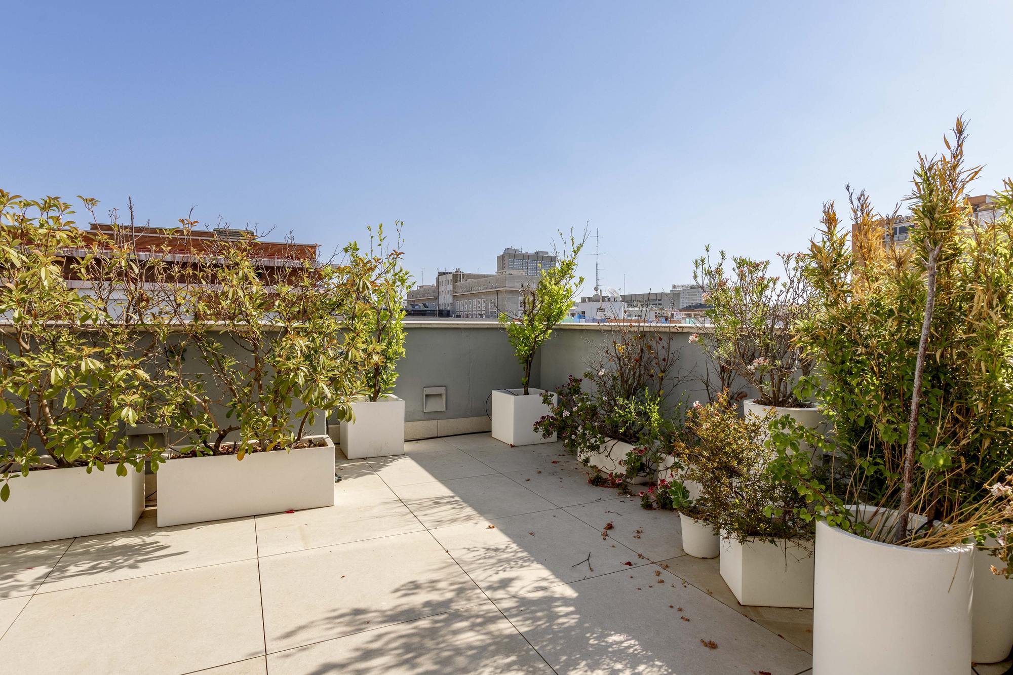living - Ático de 250m² con 24m² terraza en alquiler en Cuatro Caminos - featured