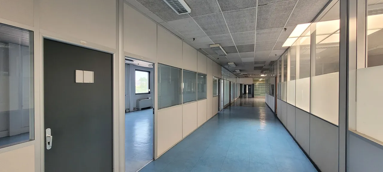 logistics - Logistics Warehouse For Rent - gallery - 10