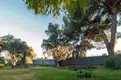 living - 1,982m² plot for sale in La Moraleja Urbanización, Madrid - Floor Plan thumbnail - 2