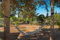 living - 360m² house / villa for sale in San José, Balearic Islands - gallery thumbnail - 10