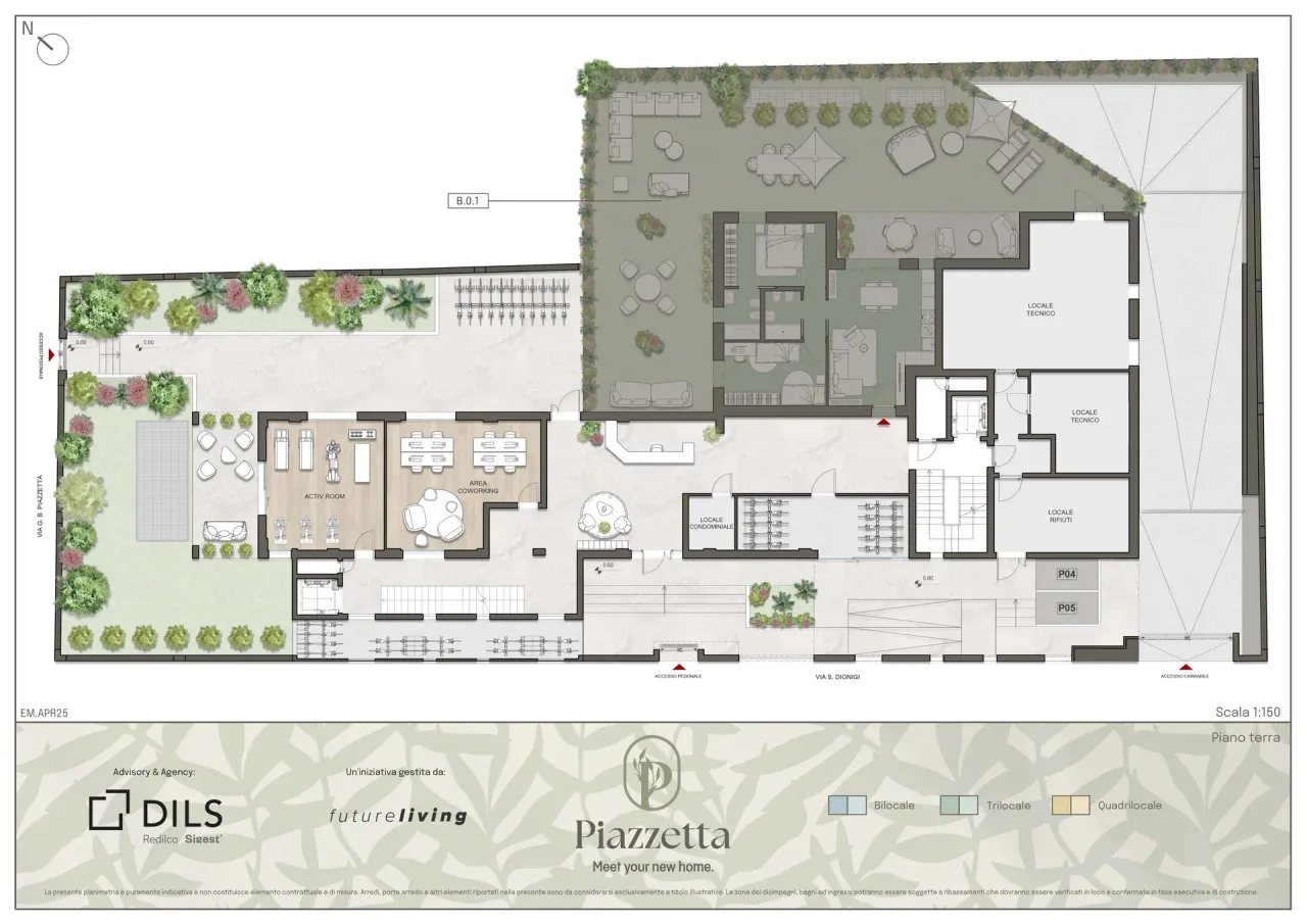 living - Piazzetta Living - Living - Dils - Floor Plan - 1