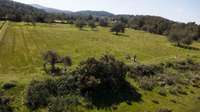living - 23,114m² plot for sale in San Antonio, Balearic Islands - gallery thumbnail - 10