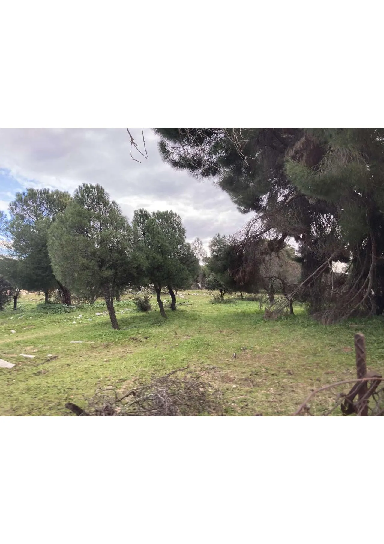 living - Parcela de 4,080m² en venta en Majadahonda, Madrid - gallery - 4