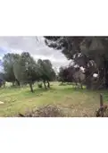 living - Parcela de 4,080m² en venta en Majadahonda, Madrid - gallery thumbnail - 4