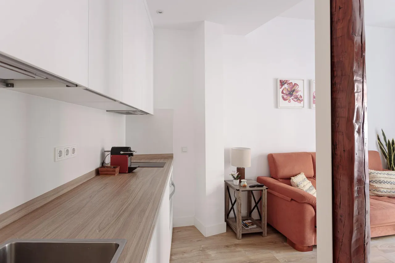 living - Piso de 55m² en alquiler en Cortes / Huertas, Madrid - gallery - 6