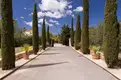 living - 300m² house / villa for sale in Ibiza Town - gallery thumbnail - 4