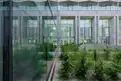 office - B7 - Uffici - Dils - gallery thumbnail - 19