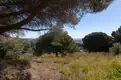 living - Parcela de 1,530m² en venta en Premià de Dalt, Barcelona - gallery thumbnail - 8