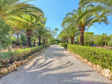 living - Casa rural de 493m² en venta en Santa Maria del Cami - featured