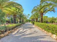 living - Casa rural de 493m² en venta en Santa Maria del Cami - gallery thumbnail - 1