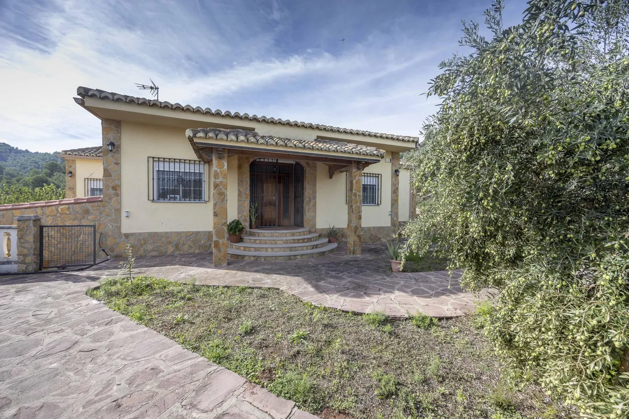 living - 440m² house / villa for sale in Valencia Region, Valencia - gallery - 9