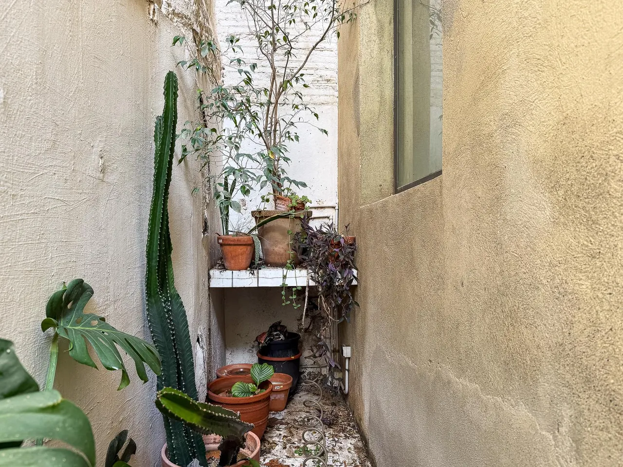 living - 163m² apartment for sale in El Raval, Barcelona - gallery - 10