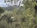 living - 2,134m² plot for sale in Bunyola, Balearic Islands - gallery thumbnail - 9