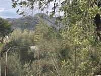 living - Parcela de 2,134m² en venta en Bunyola, Islas Baleares - gallery thumbnail - 9