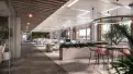 office - Maxima - Amba Aradam 5 - Office - Dils - gallery thumbnail - 13