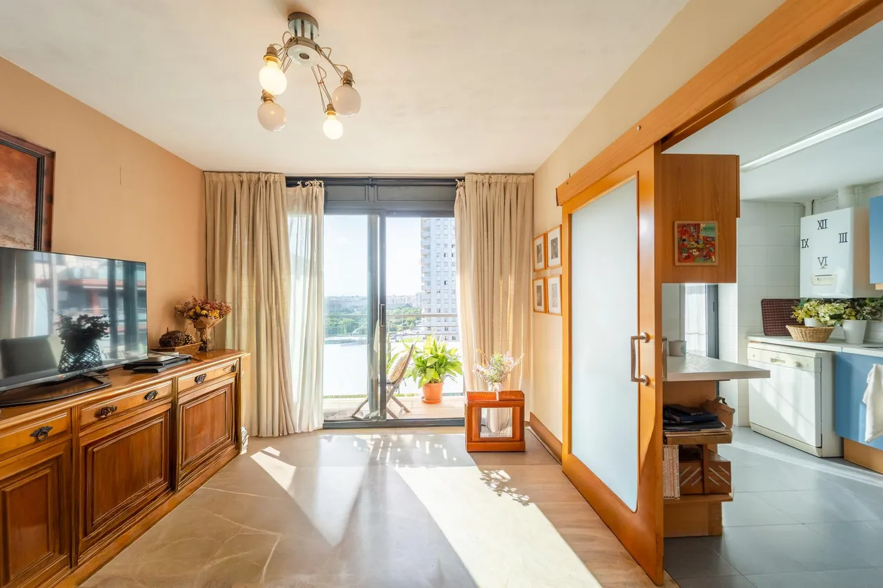 living - 163m² penthouse with 65m² terrace for sale in Ciudad de las Ciencias - gallery - 6