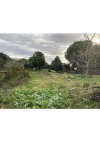 living - 4,080m² plot for sale in Majadahonda, Madrid - gallery thumbnail - 10