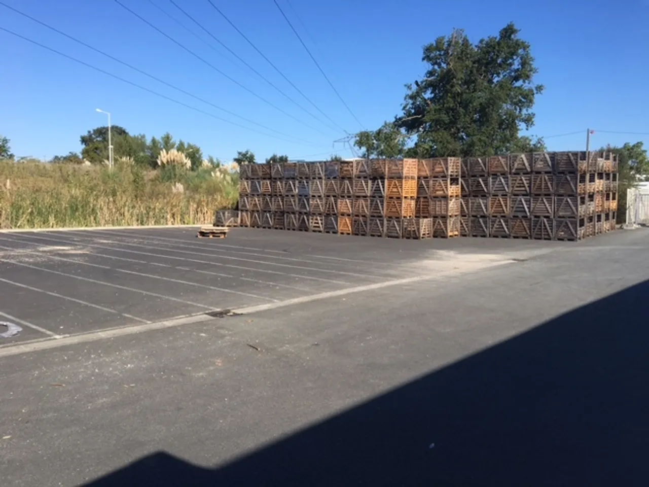 logistics - Warehouse For Rent - gallery - 6