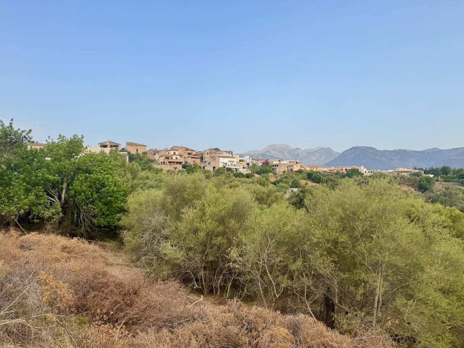 living - 997m² plot with 997m² garden for sale in Campanet - gallery thumbnail - 4