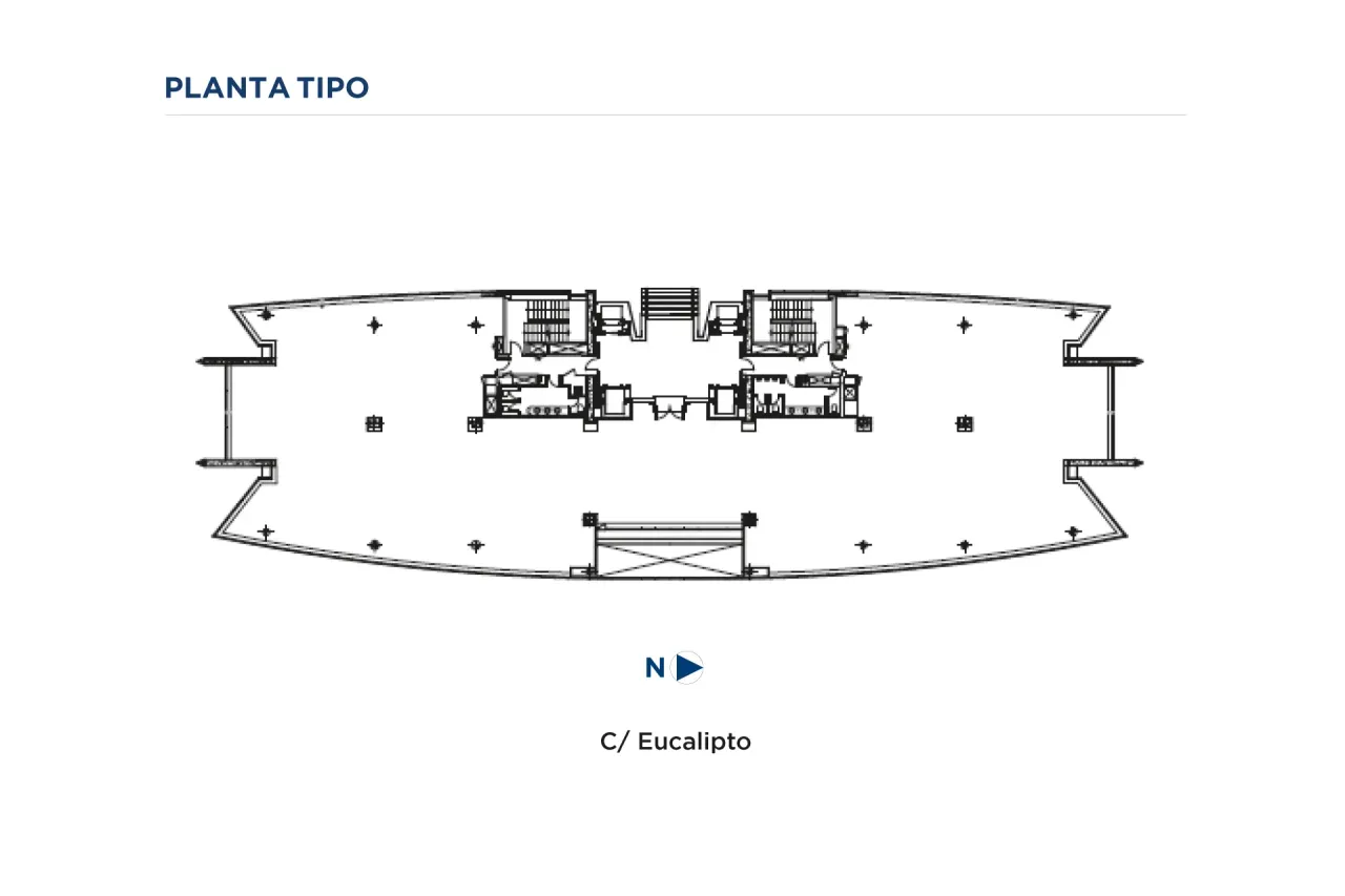 office - Eucalipto 33 - Bureaux - Dils - Plan d'étage - 1