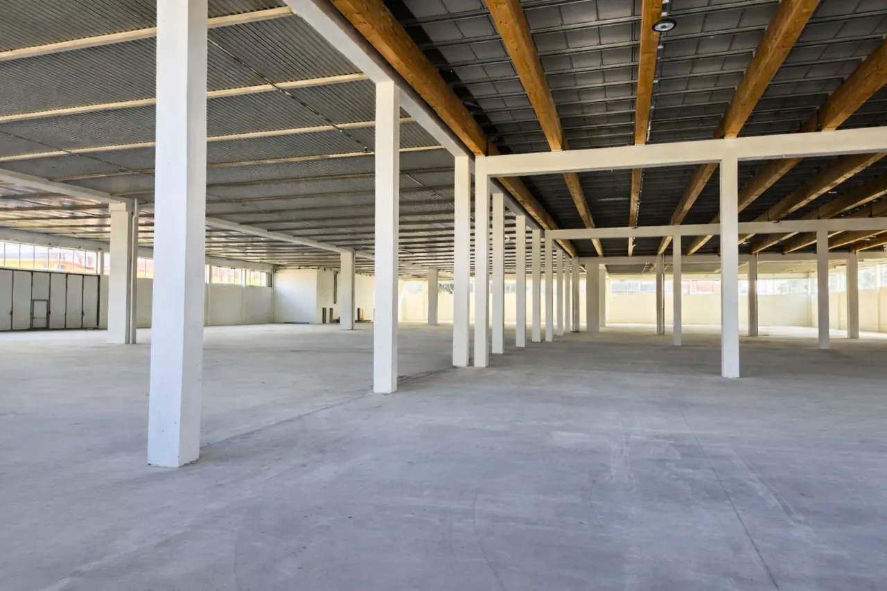 logistics - East Lucca - Logistics - Dils - gallery - 4