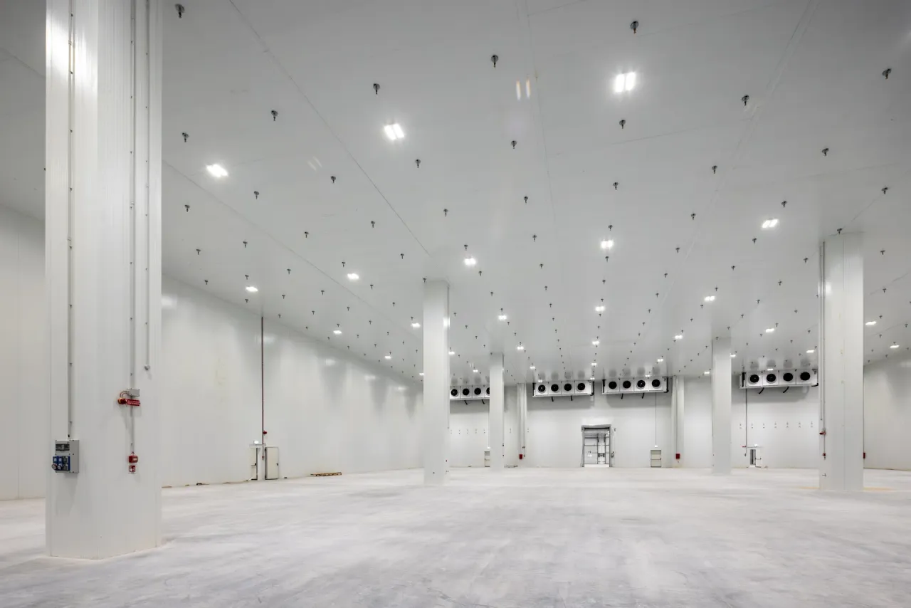 logistics - Triestre Port Warehouse - Logistica - Dils - gallery - 12