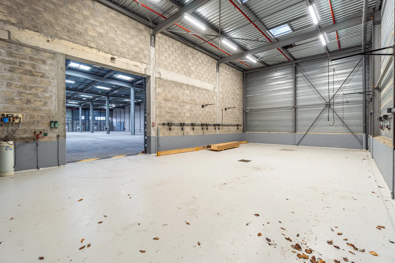 logistics - Entrepôt Logistique À Louer - gallery - 4