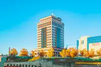 office - Torre Ombú - Office - Dils - gallery thumbnail - 2