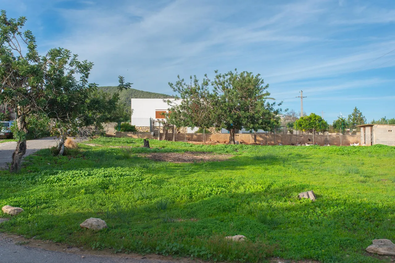 living - 195m² house / villa for sale in Ibiza Town - gallery - 7