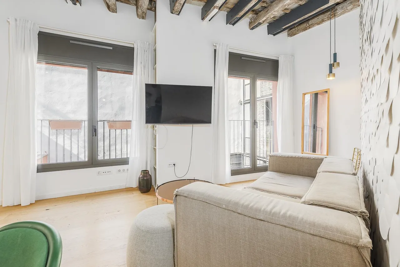 living - 56m² apartment with 18m² terrace for sale in El Born - gallery - 3