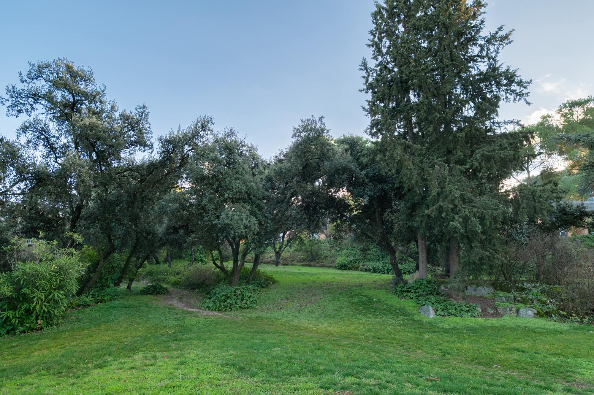 living - Parcela de 1,982m² en venta en La Moraleja Urbanización - gallery - 8