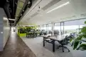 office - Pharos - Office - Dils - gallery thumbnail - 34