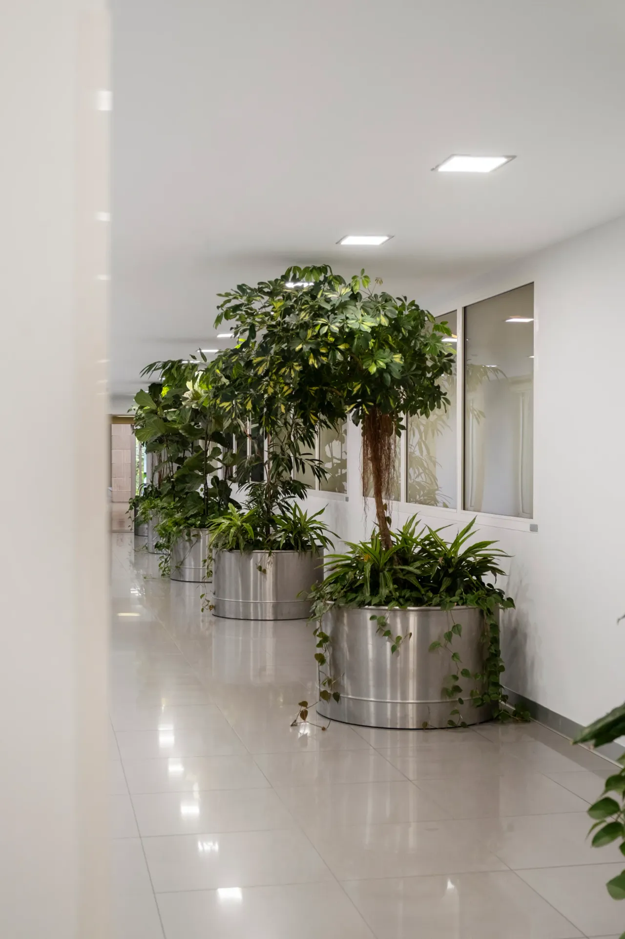 office - Washington 70 - Office - Dils - gallery - 21