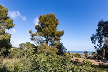 living - Parcela de 2.013 m² en venta en Cabrils, Barcelona - featured