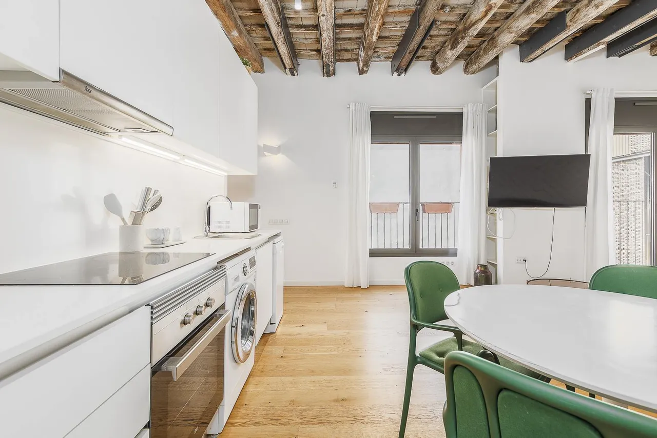 living - 56m² apartment with 18m² terrace for sale in El Born - gallery - 10