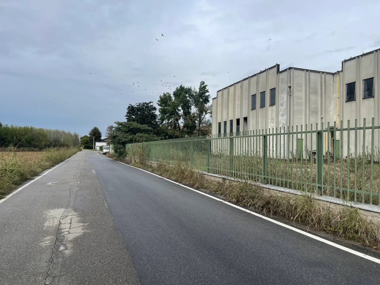 logistics - Milano Sud - Logistica - Dils - gallery - 3