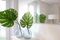 living - 93m² apartment for rent in Lista, Madrid - gallery thumbnail - 5