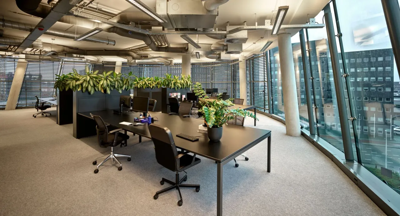 office - The Curve - Uffici - Dils - gallery - 11
